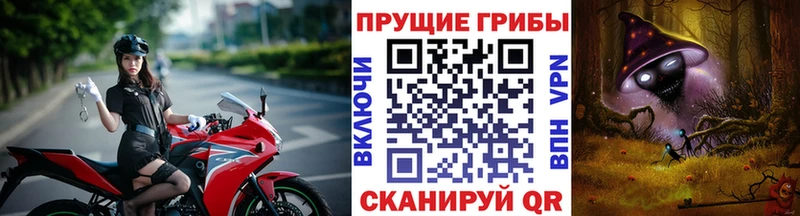 Галлюциногенные грибы прущие грибы  Купить где  Славск 